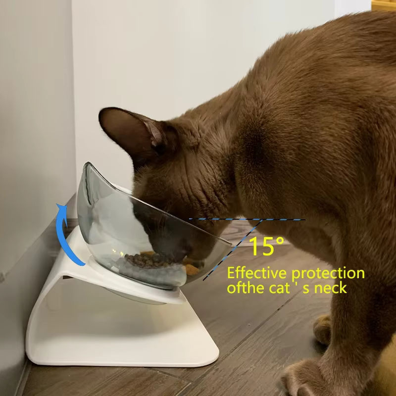 KAMANLONG Rutschfester Doppel-Napf mit Ständer für Katzen und Hunde, Transparent - Bild 2