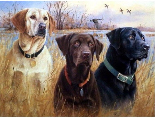 Diamant-Malerei Hund Mosaik Set von FIYO mit runden Bohrern in Multicolour, B/H: 20 x 30 cm - Bild 1