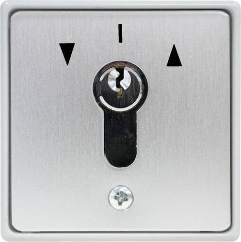 Kaiser Nienhaus Torantrieb Schlüsselschalter Aufputz in Silber aus Aluminium - Bild 1