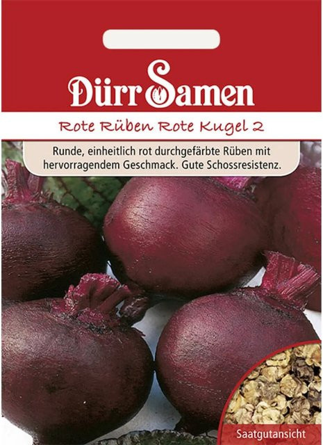 Dürr Rote Rüben Rote Kugel 2 Saatgut - Bild 1