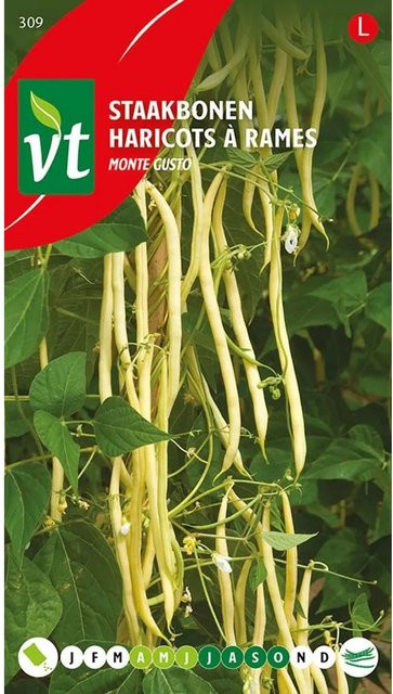 Monte Gusto Bohnen Samen von arborix, 25 g - Bild 1