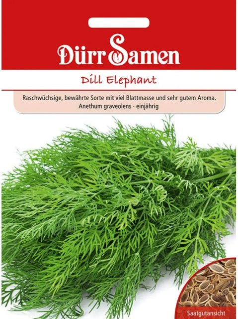 Dürr Elephant Dill Saatgut für deinen Garten, 1750 g - Bild 1