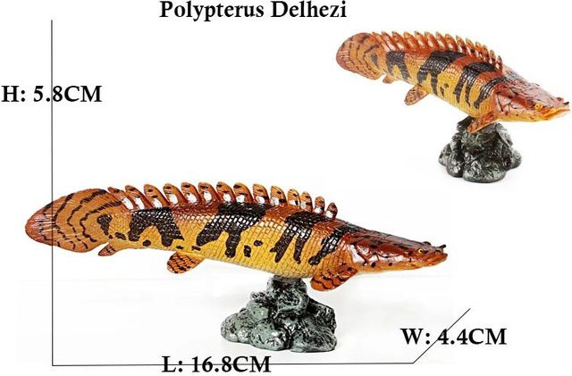 Arowana Pirarucu Quastenflosser Bichir Krokodilfisch, Actionfiguren, ab 14 Jahre - Bild 1