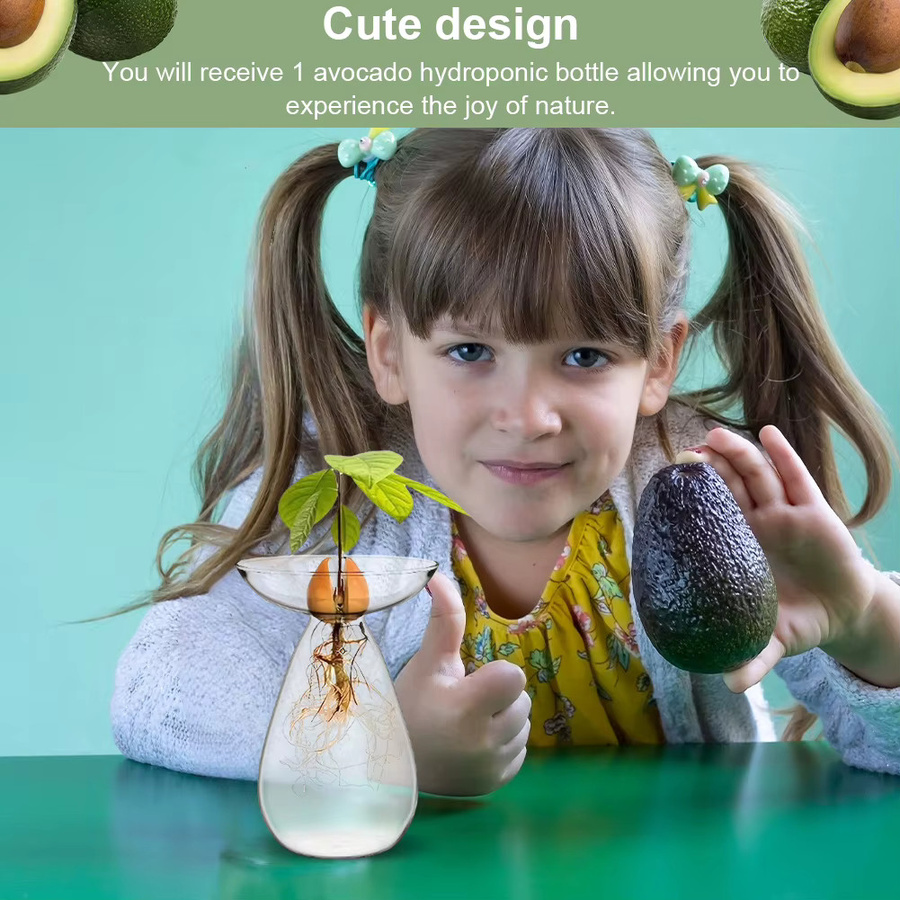 Mojoyce Avocado-Samen-Startervase aus Glas, transparente Hydrokulturvase für Avocado-Bäume und Pflanzen - Bild 2