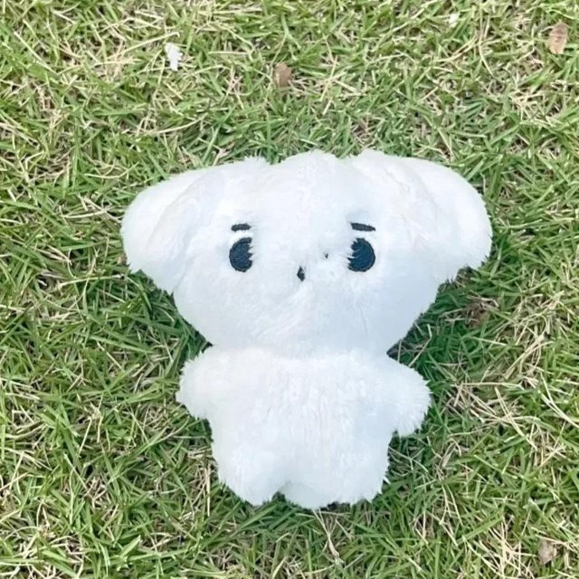 Yiran toy Kpop Plüschtier Jungwon Heeseung Jay Jake Sunghoon, Schlüsselanhänger, ab 14 Jahren - Bild 1
