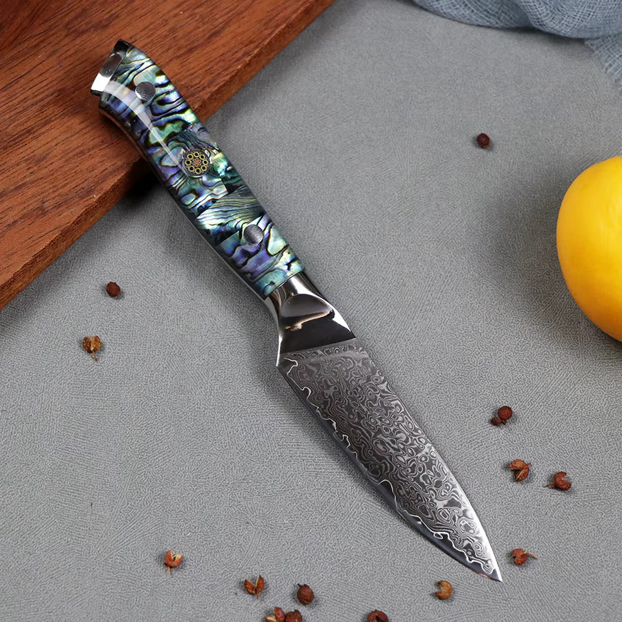 Jumcsong Damastmesser aus 10 Cr15 CoMoV Stahl, 3,5 Zoll Obstmesser mit Abalone Shell Griff in Multicolour - Bild 3