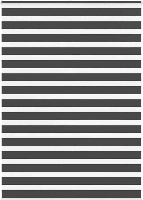 vidaXL Doppelrollo Day & Night Schwarz aus Polyester, B/H: 155 x 230 cm - Bild 1