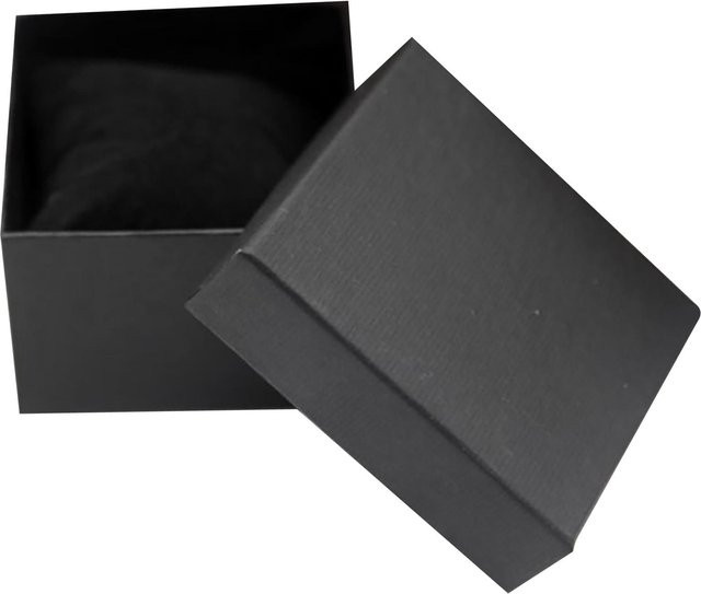Uhrenetui Painter, Schwarz, Modern, Herren - Bild 1