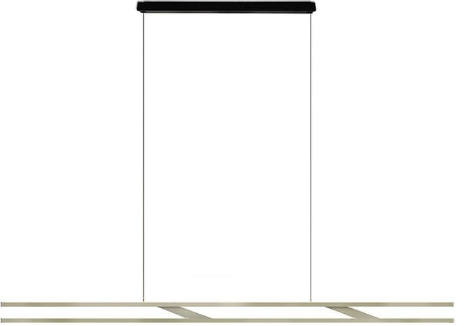Oligo Linto Fix LED-Pendelleuchte in Creme mit schwarzem Baldachin und Tunable White (2200K - 5000K) - Bild 1