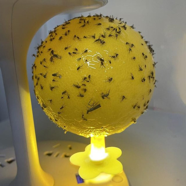 Kichen story Leuchtende Insektenfalle in Ballform mit gelber Blumenbasis zur ungiftigen Fliegen- und Mückenfalle für den Innenbereich - Bild 1