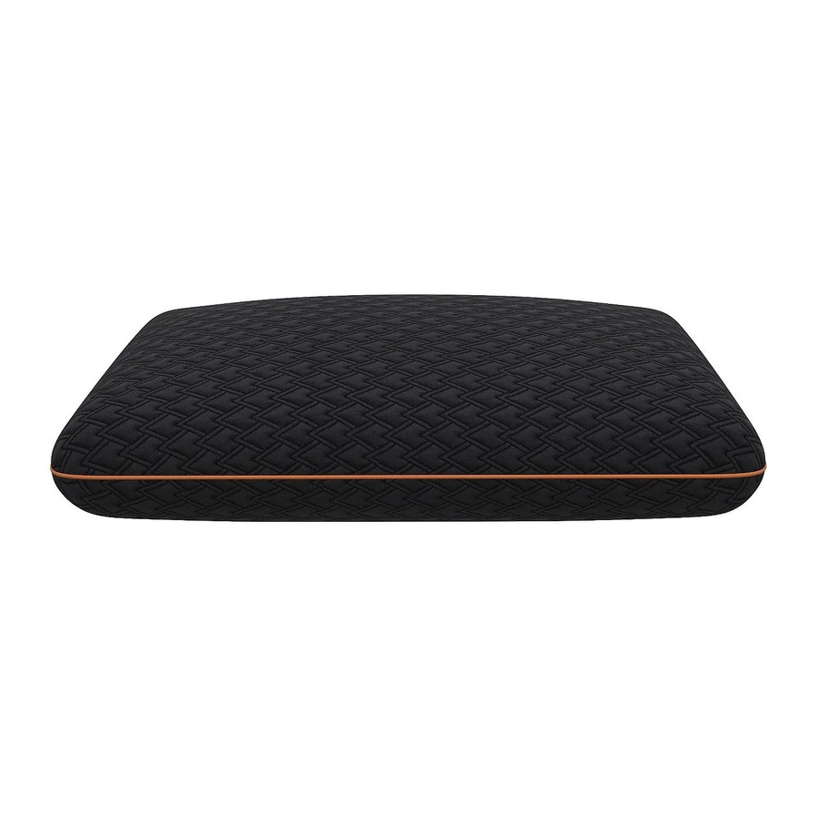 Vente-unique Baldia Kopfkissen aus Memory-Foam mit abnehmbarem Bezug, Schwarz, B/T/H: 60 x 40 x 1 cm - Bild 2