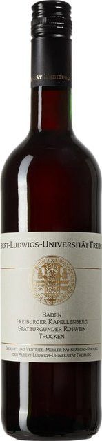 Winzerhof Ebringen Spätburgunder Rotwein, Baden, 2022, trocken, 0,75 l - Bild 1