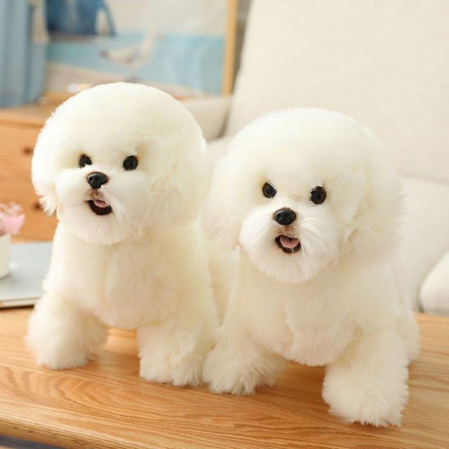Binchi Fitness Bichon Frisé Plüschtier, weiß, ab 14 Jahren - Bild 1