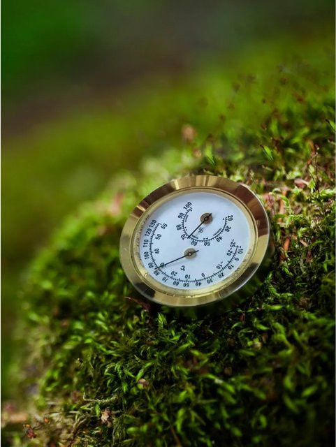 Pergart Hygrometer aus Messing und Stahl in Goldfarben für dein Gewächshaus - Bild 1