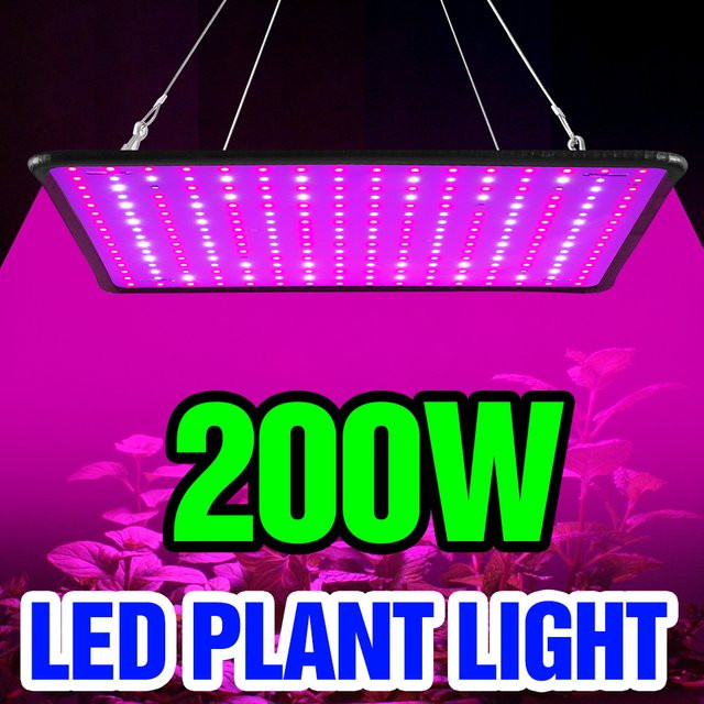 200W LED Quantum Board Pflanzenlampe Vollspektrum in Silber für Gewächshaus, Zelt und Pflanzenkultivierung - Bild 1