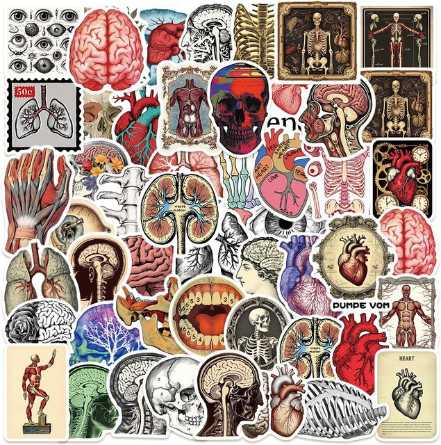 Kpustyle Retro Wissenschaftliche Anatomie Aufkleber, Wasserfeste Sticker in Multicolour für Laptop, Skateboard und Gepäck - Bild 1