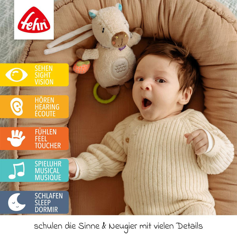 Fehn Capybara Clara, Mini-Spieluhr, ab 0 Jahren - Bild 2
