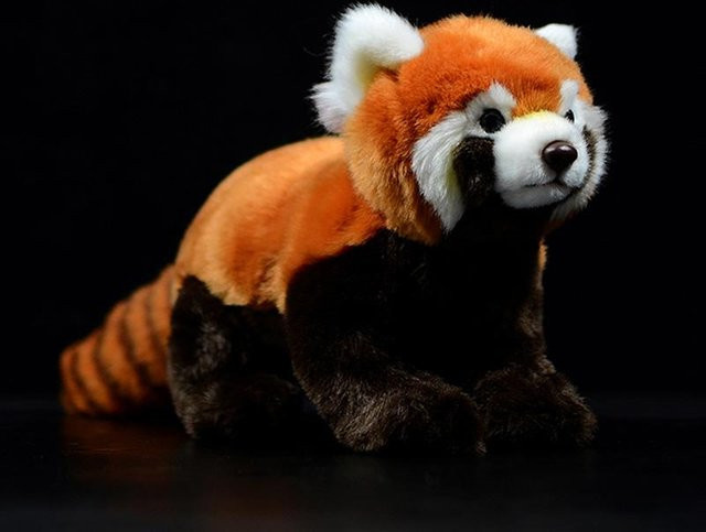 Roter Panda Ailurus Fulgens, Plüschtier, 28cm - Bild 1