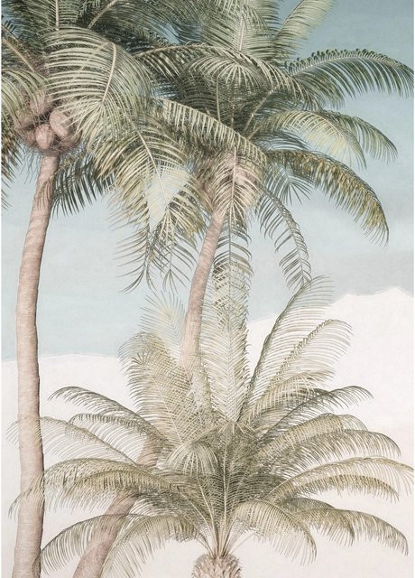 Komar Fototapete Palm Oasis aus Vlies in Multicolour, B: 200 cm, H: 280 cm - Bild 1