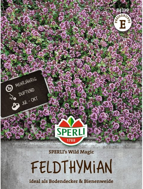 SPERLI Feldthymian-Samen Wild Magic - Bild 1