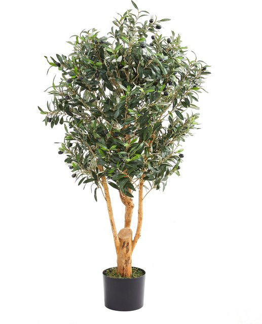 Künstlicher Olivenbaum Lysandra von Aplanta, Höhe: 120 cm - Bild 1