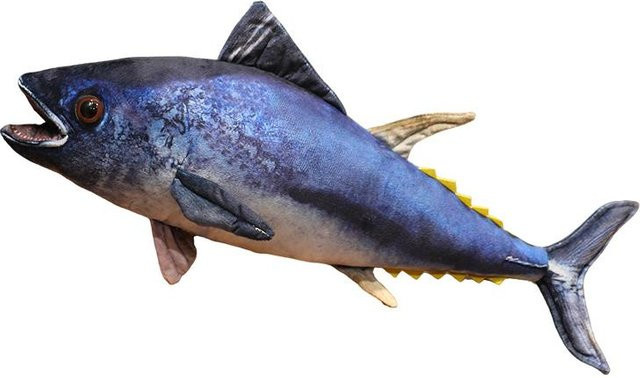Binchi Fitness Thunfisch Plüschtier, Meeres-Spielzeug, ab 14 Jahren - Bild 1