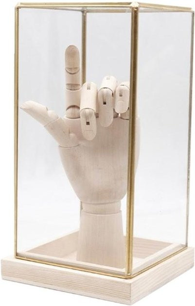 Dekorative Sammler-Glasvitrine von Insiders aus Glas, Metall und Holz in transparentem Design für dein Zuhause oder Büro - Bild 1