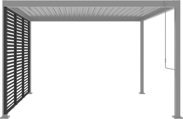 Sichtschutz aus Aluminium in Anthrazit B/H/T: 6 x 226 x 93 cm - Bild 1