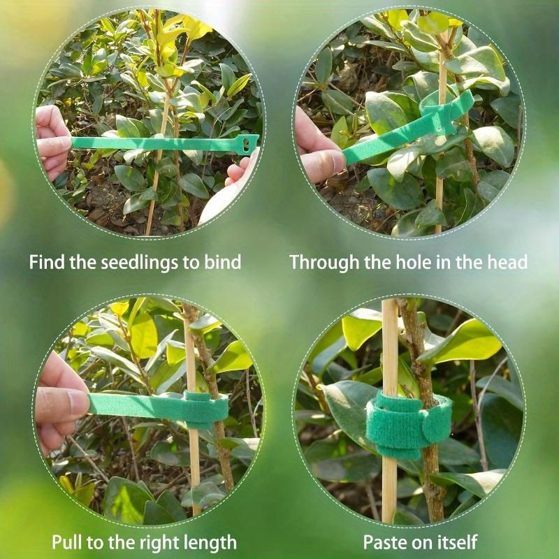 100 Stück Wiederverwendbare Nylon Pflanzenbinder mit Klettverschluss für Garten und Gewächshaus von SZwatch - Bild 8