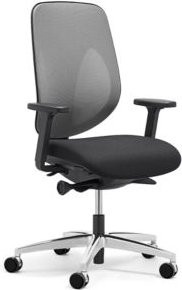 Giroflex Bürostuhl 353 mit Armlehnen, Auto-Synchronmechanik und Muldensitz in Grau/Schwarz/Alusilber - Bild 1