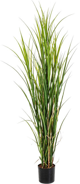 Künstliches Gras Kerem von Aplanta, Höhe: 165 cm - Bild 1