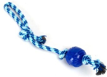 nobleza Hundespielzeug, Zerrseil mit Ball, blau - Bild 1