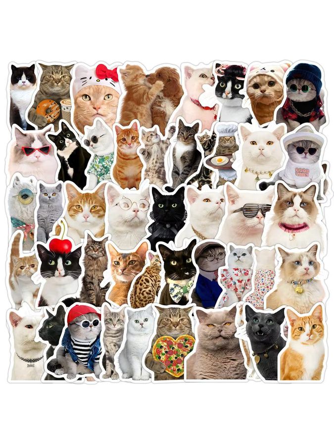 50 Stück wasserfeste Katzen-Meme-Graffiti-Aufkleber aus Vinyl in Multicolor von Anime Worlds Store für Computer und Trinkflaschen - Bild 6