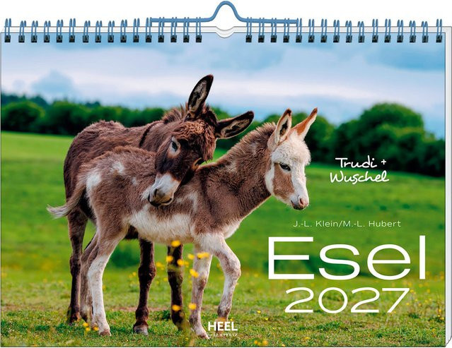 Wandkalender Esel 2027 von Heel Verlag GmbH, Multicolor, B: 47,5 cm, H: 33,0 cm - Bild 1