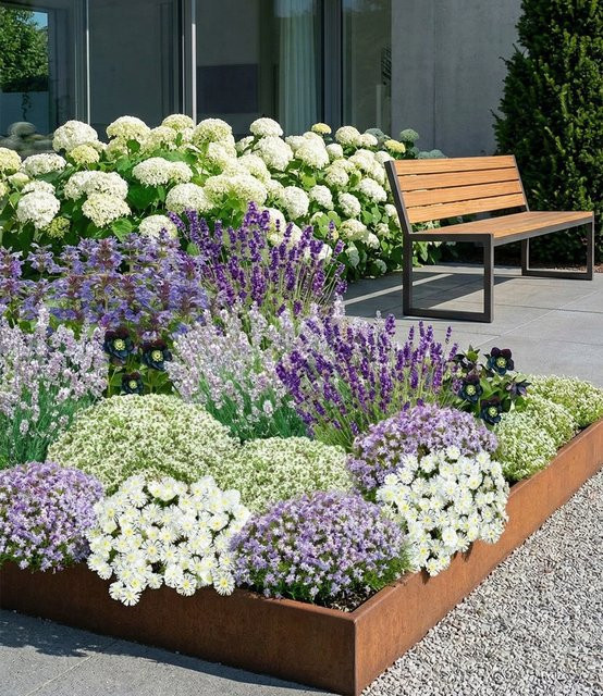 19er Staudenbeet in Blau-Weiß - Bild 1