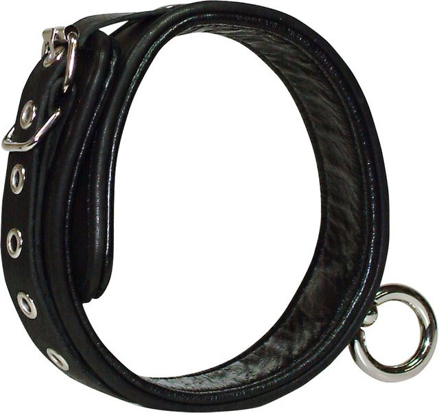 Wild Thing by ZADO Halsfessel Leder, O-Ring - Bild 1