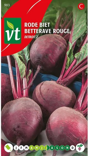 Arborix Rote Bete Detroit 2 Samen, 5 g - Bild 1