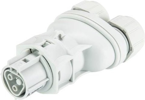 Wieland Electric 96.021.4253.0 Steckverbinder in Grau und Weiß - Bild 1