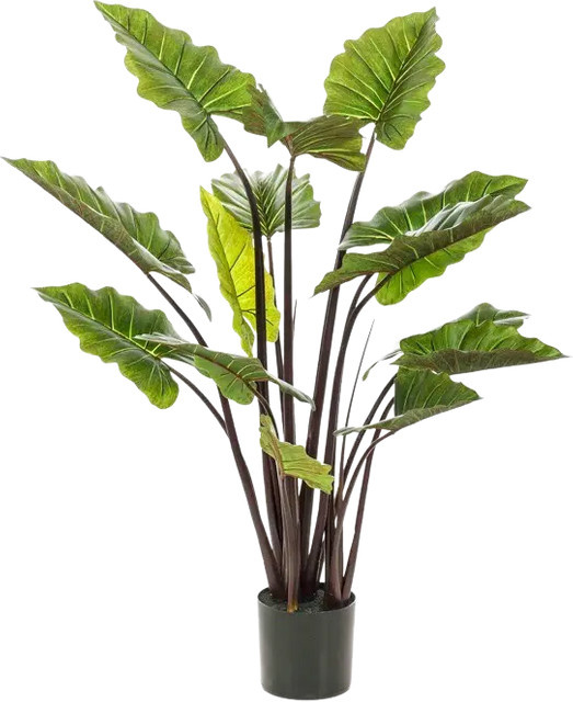 Künstliche Colocasia Max von Aplanta, grüne Pflanze, Höhe: 130 cm - Bild 1
