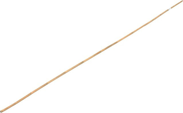 Bambusstab mit einer Länge von 240 cm und einem Durchmesser von ca. 2 cm - Bild 1