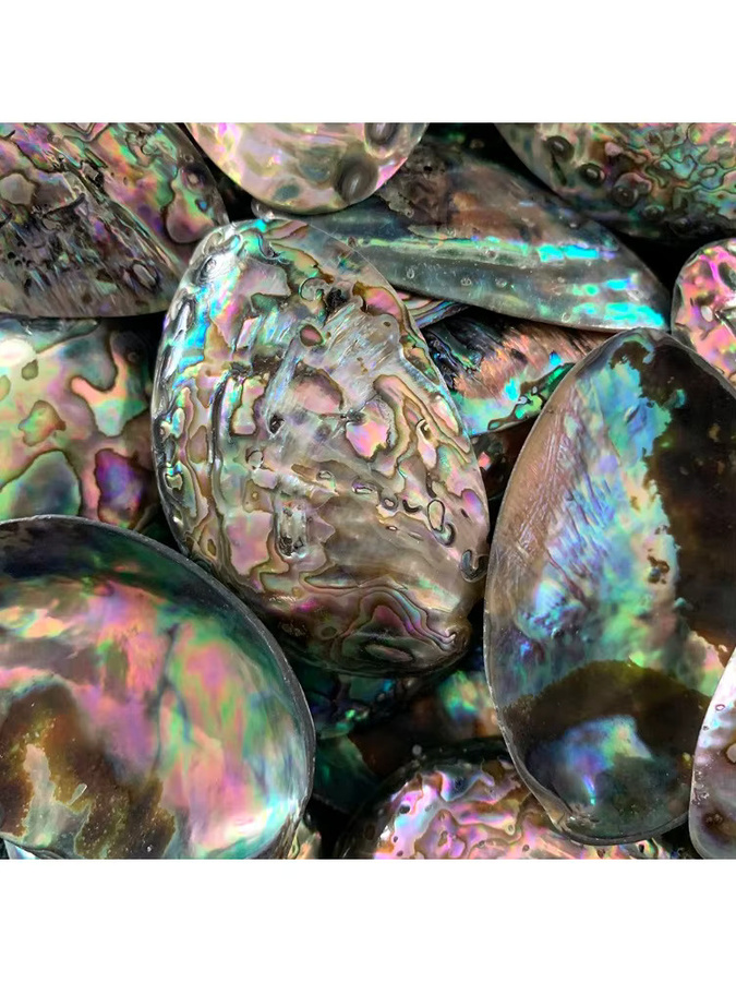 Anhänger Abalone Shell, Bunt, Unisex, 25-30mm - Bild 6