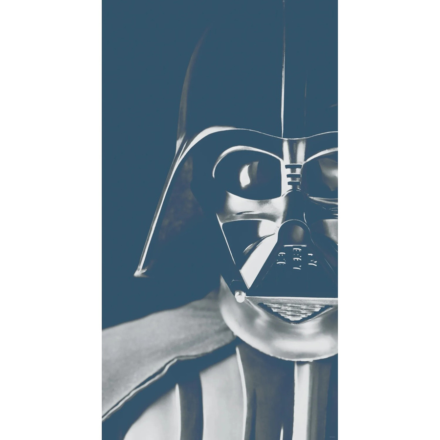 Komar Fototapete Vlies Star Wars Classic Icons Vader B: 150 cm, H: 280 cm - Bild 2