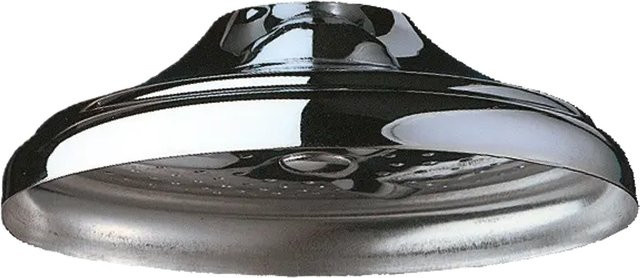 Delabie Regendusche Brausekopf für Deckenmontage, Durchmesser: 8 cm, Farbe: Chrom/Silber - Bild 1