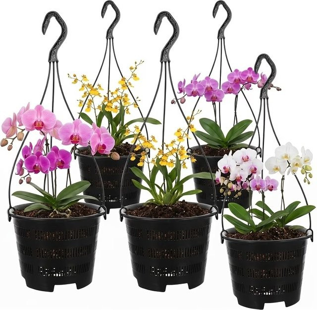 6er-Set Orchideen-Hängepflanzgefäße aus schwarzem Kunststoff mit Haken, geschlitzte Netz-Orchideentöpfe für Zimmerpflanzen - Bild 1