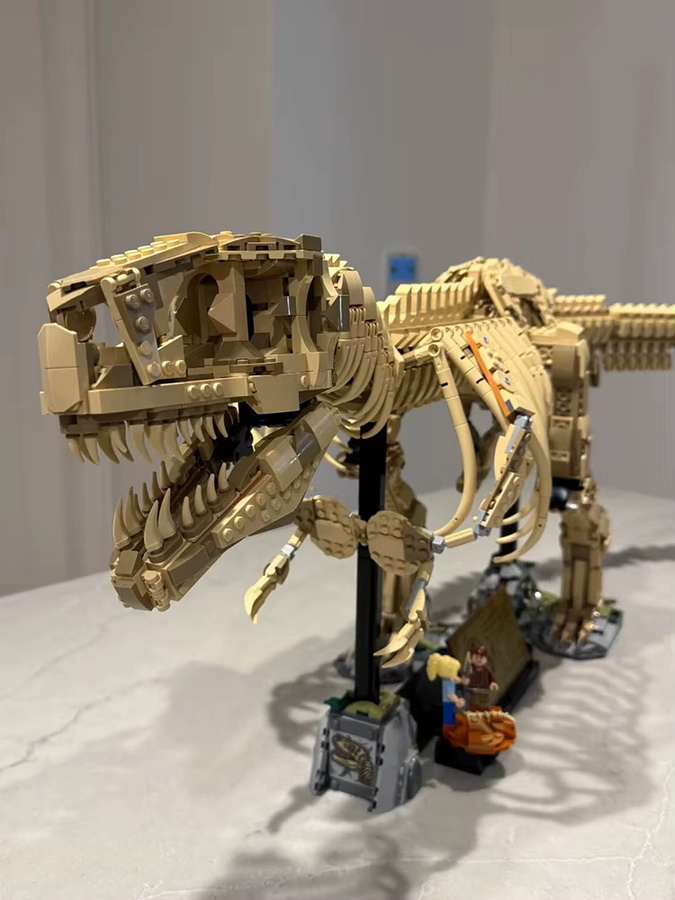 Potdemiel Dinosaurier T-Rex Fossilien Tyrannosaurus Rex, Baukasten - Bild 3