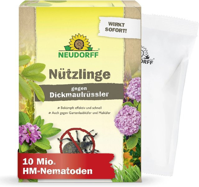 Neudorff Nützlinge Chrysoperla carnea zur Bekämpfung von Blattläusen für 20 m² - Bild 1