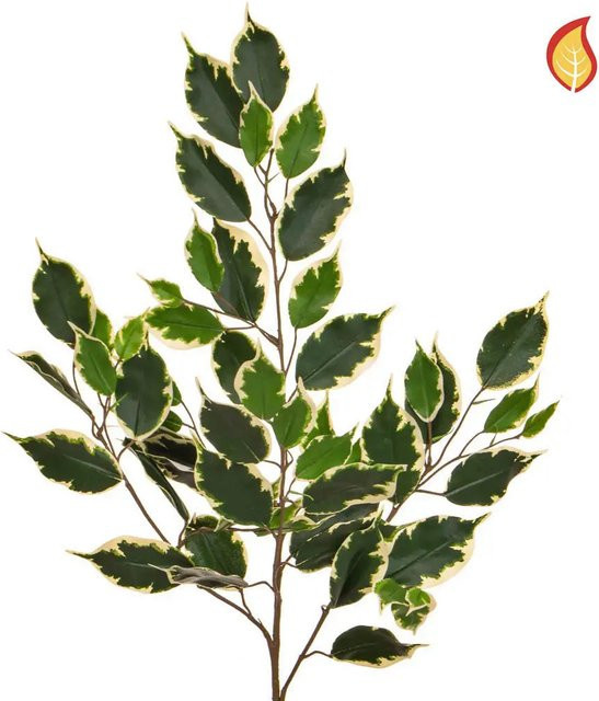 Künstlicher Ficuszweig Wolfgang von Aplanta, Höhe: 75 cm - Bild 1