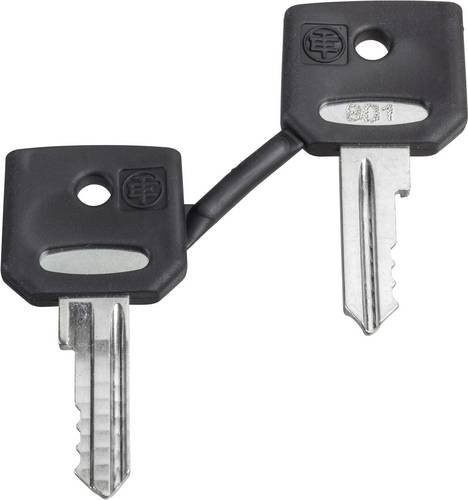 Schneider Electric ZBD8D1 Ersatzschlüssel in Schwarz - Bild 1