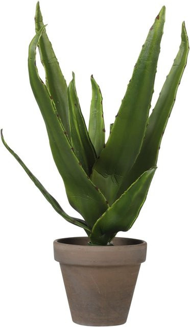 Mica Decorations Kunstpflanze Aloe Vera in Terrakotta-Blumentopf, Grün, Höhe: 30 cm, Durchmesser: 16 cm - Bild 1