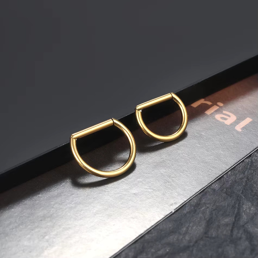 SWANJO Piercing Segment Ring Clicker, Titan, Unisex, 16G - Bild 3